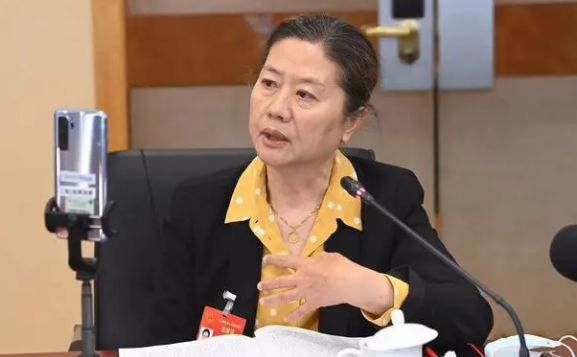 全國人大代表王安憶：公交司機(jī)猝發(fā)急病甚至猝死，不是個例！建議增設(shè)司乘人員